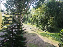 Idyllic East (D16), Apartment #164203242